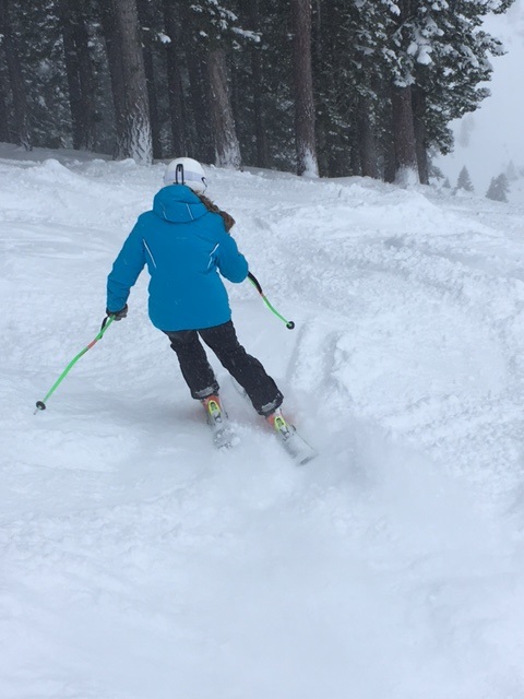 r-ski-2017-jan